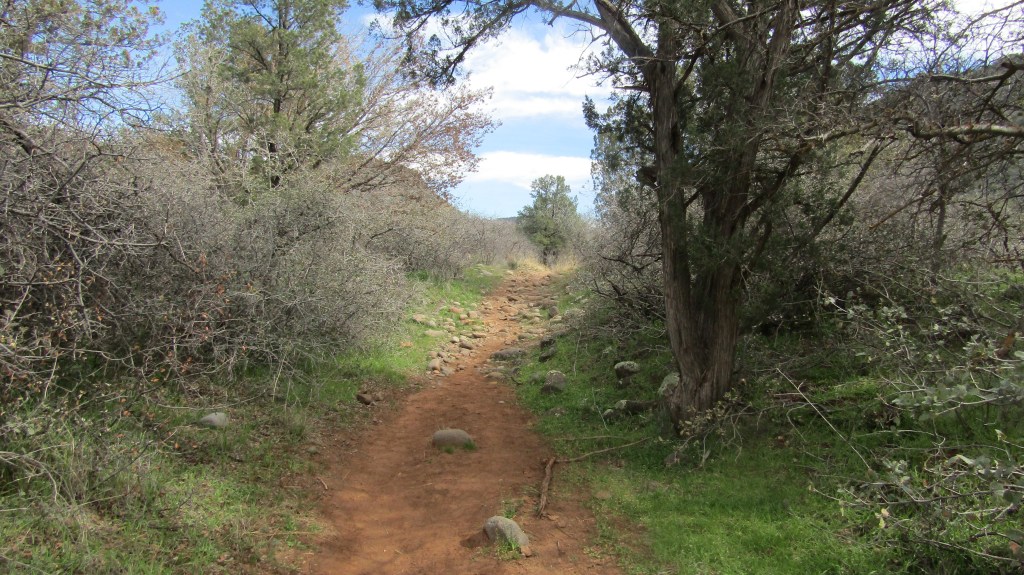 Woods Canyon Trail: A Wilderness Gem Near&nbsp;Sedona