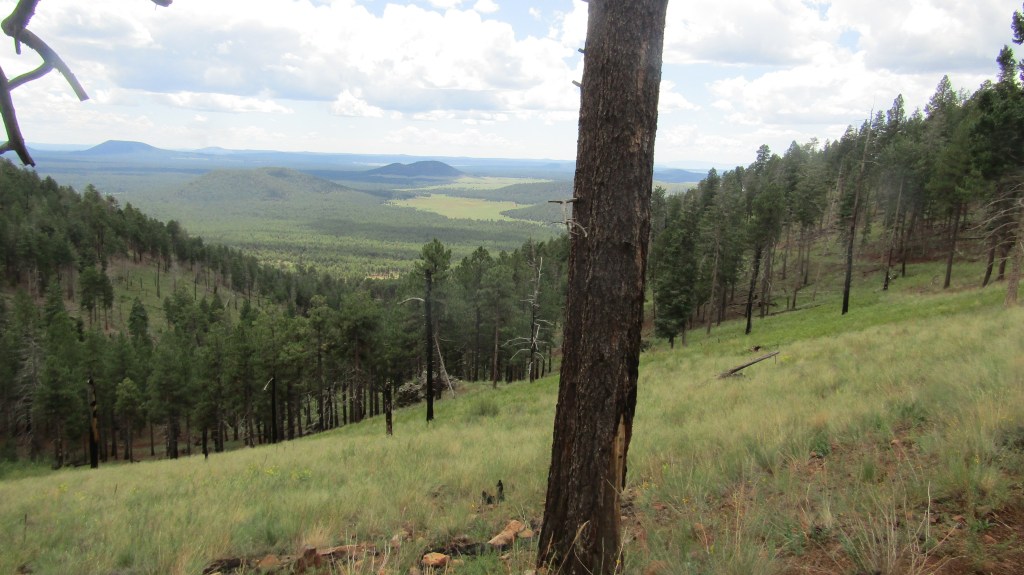 A scenic view of a forested landscape with rolling hills and mountains in the distance under a partly cloudy sky.